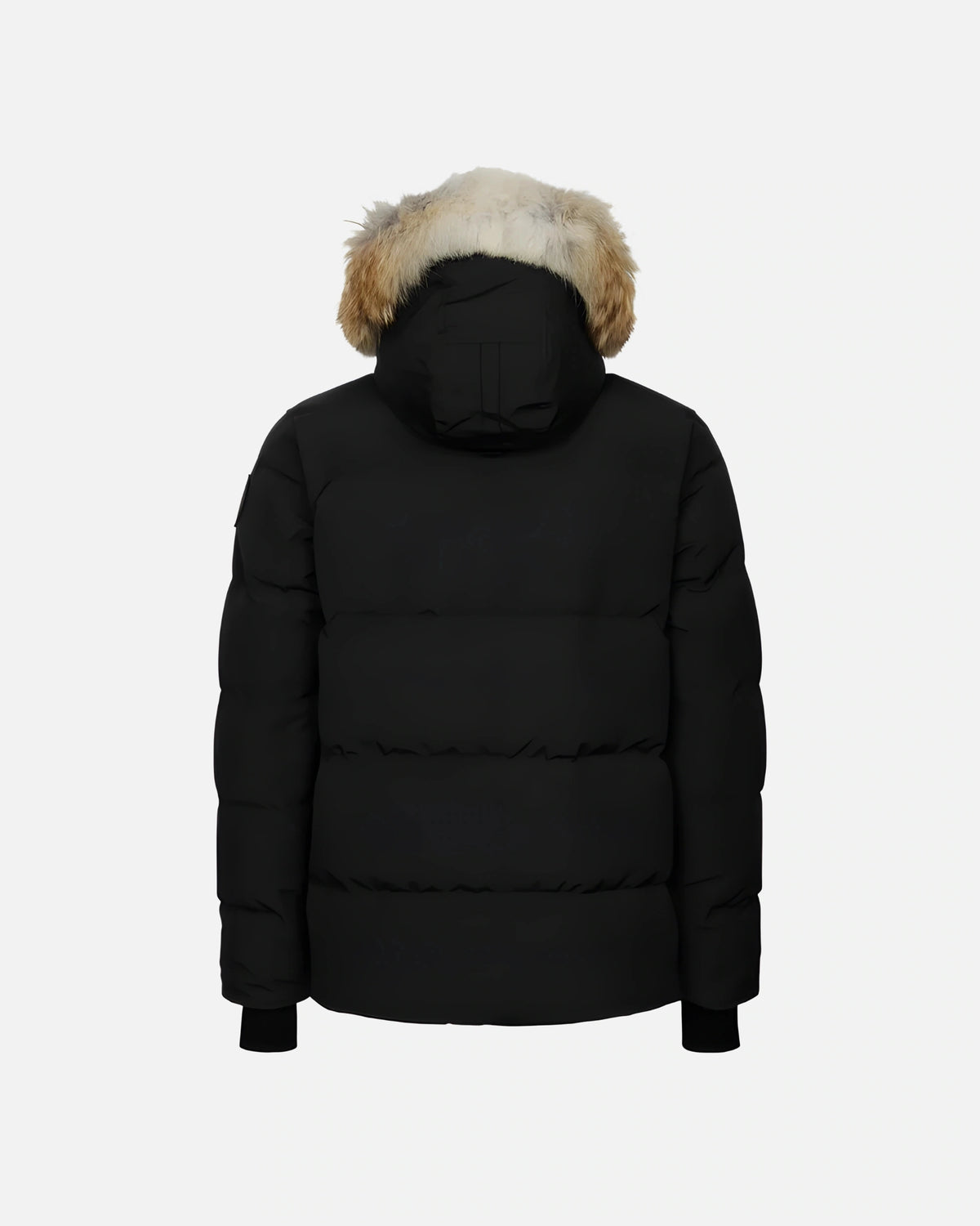 GOSE BLACK JACKET
