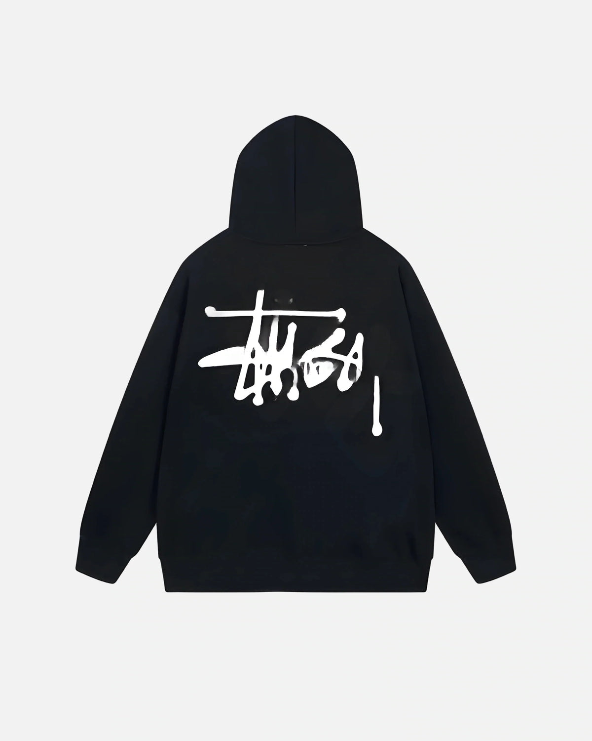 STASI Zip Hoodie 016 Back
